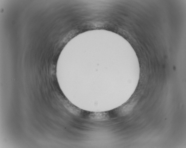 X0000070410672200606091153