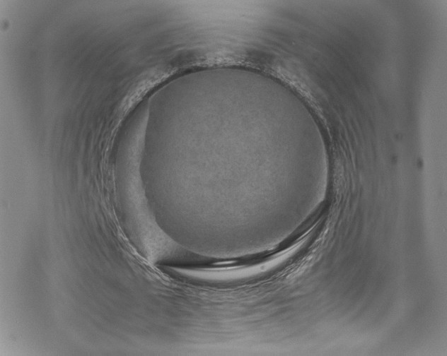 X0000070410673200606091152