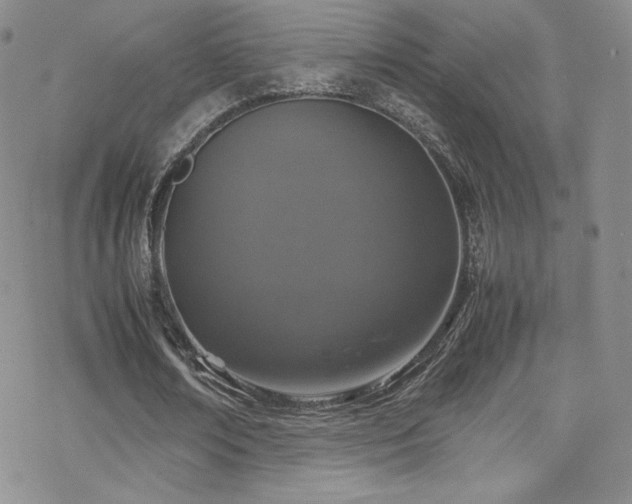 X0000070410674200606091152