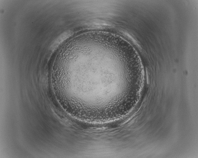 X0000070410675200606091152