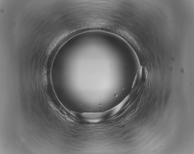 X0000070410676200606091152