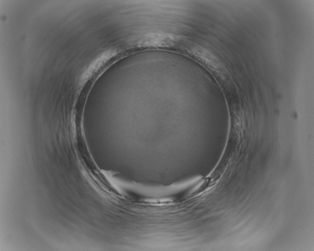 X0000070410678200606091152