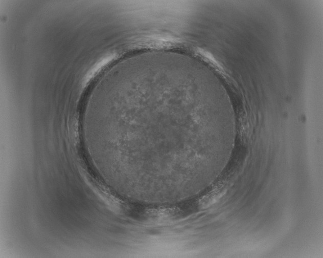 X0000070410679200606091152