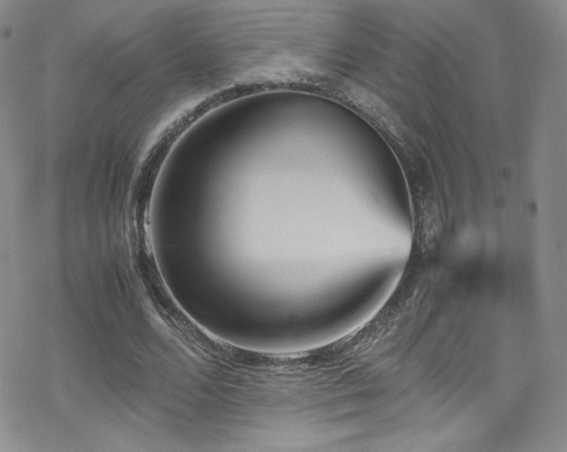 X0000070410680200606091152