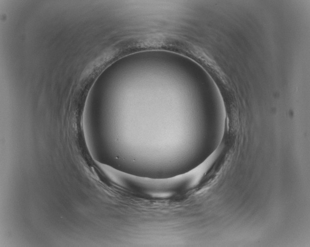 X0000070410681200606091152