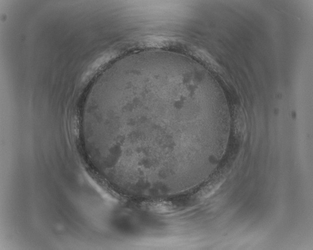 X0000070410683200606091152