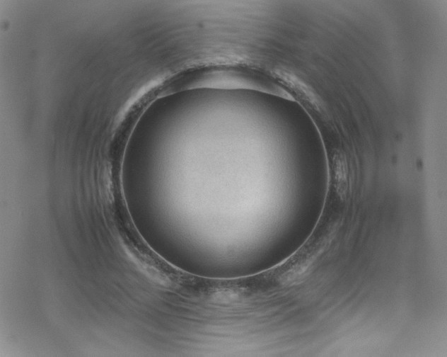 X0000070410684200606091152