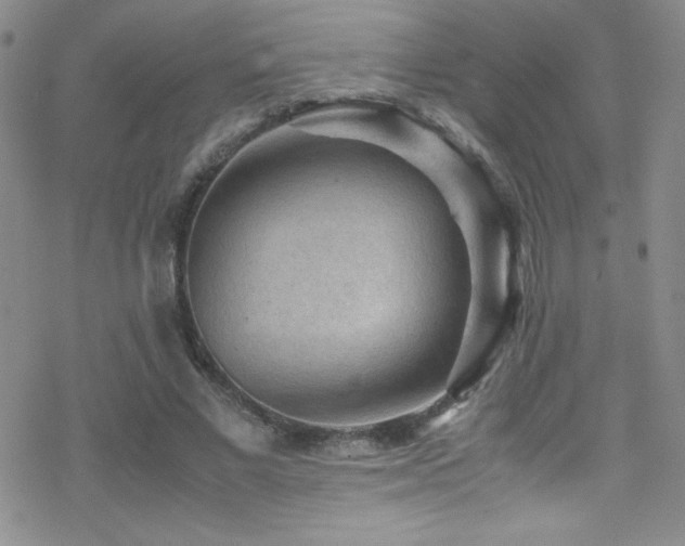 X0000070410685200606091152