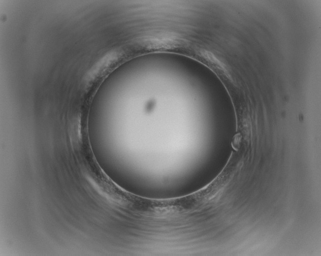 X0000070410686200606091152