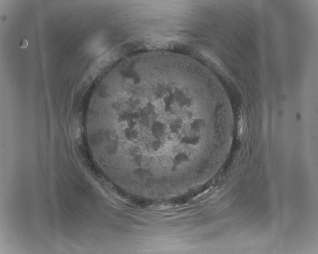 X0000070410687200606091152