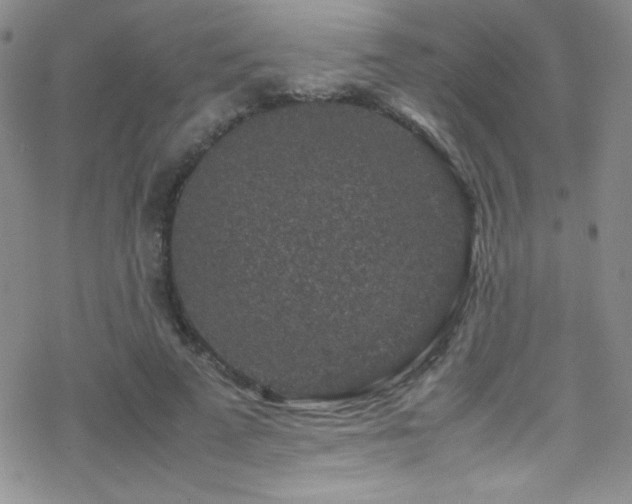 X0000070410689200606091152