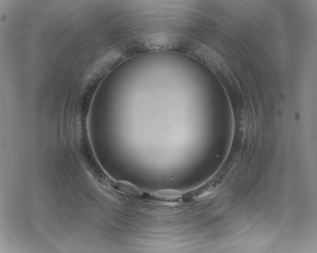 X0000070410690200606091152