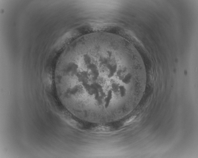 X0000070410691200606091152