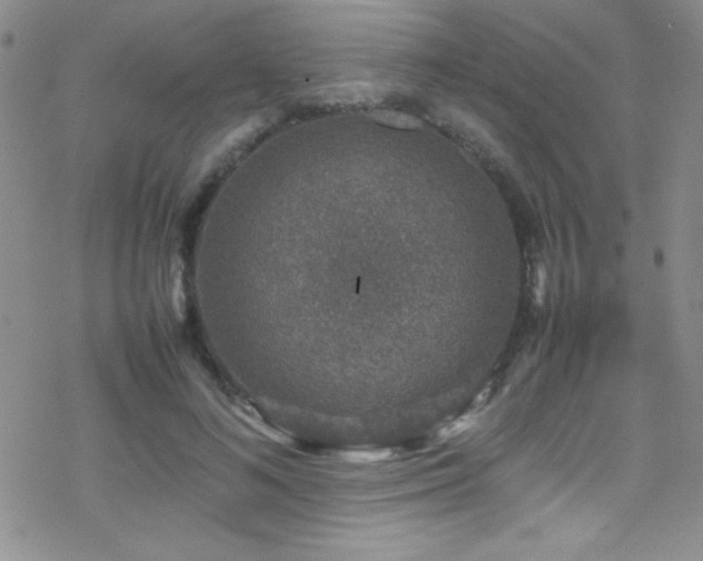 X0000070410692200606091152