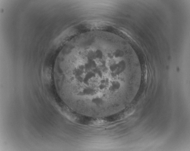 X0000070410695200606091151