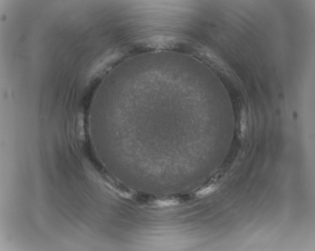 X0000070410696200606091151