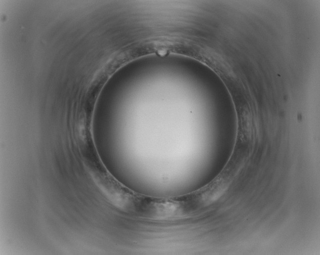 X0000070410698200606091151