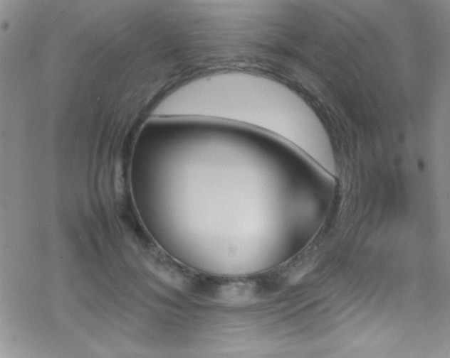 X0000070410700200606091151