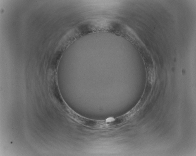 X0000070410701200606091151