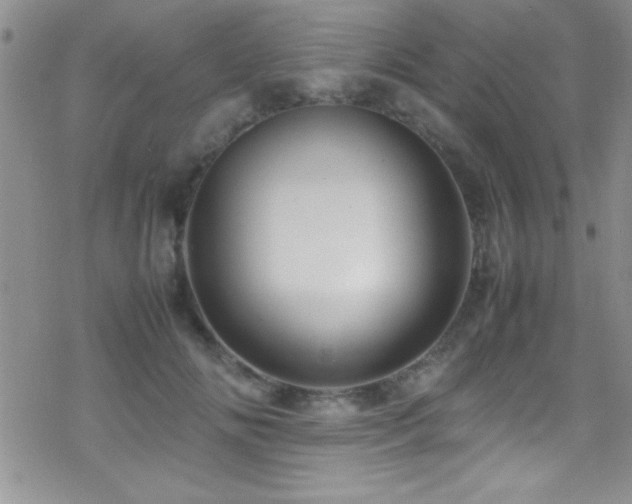 X0000070410702200606091151