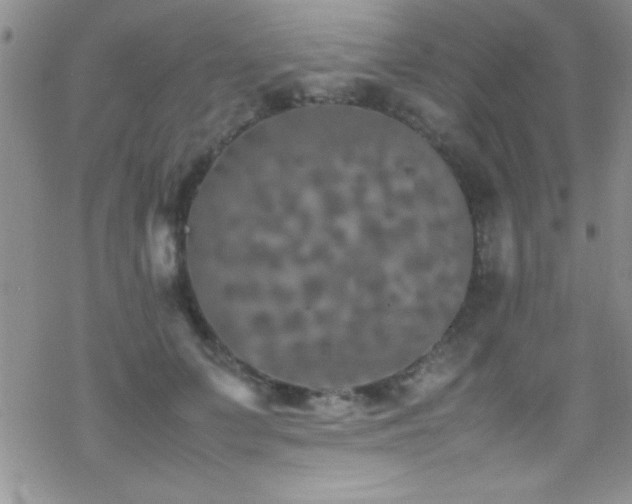 X0000070410703200606091151