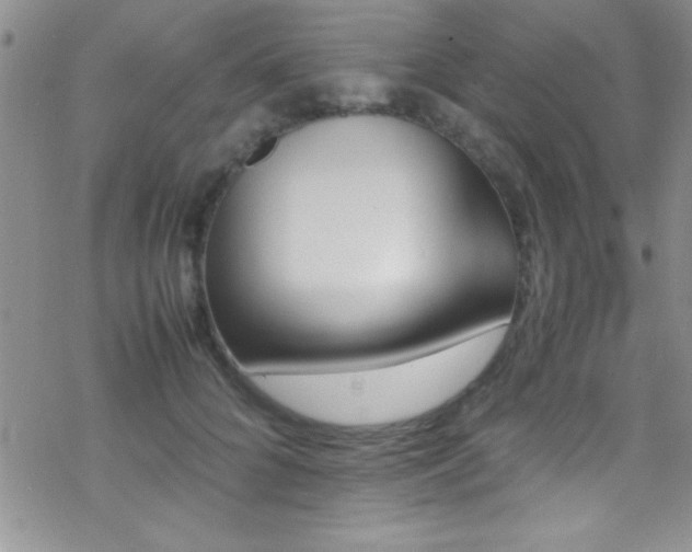 X0000070410704200606091151