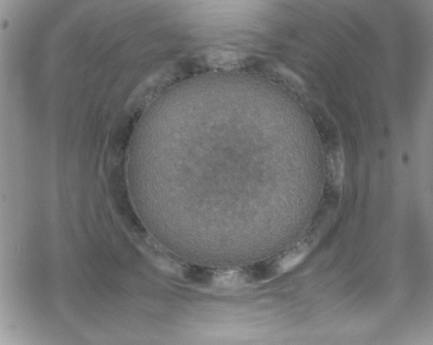 X0000070410705200606091151