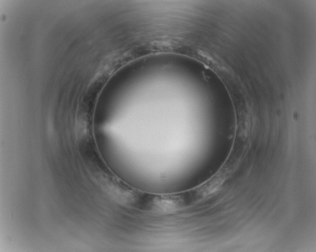 X0000070410706200606091151