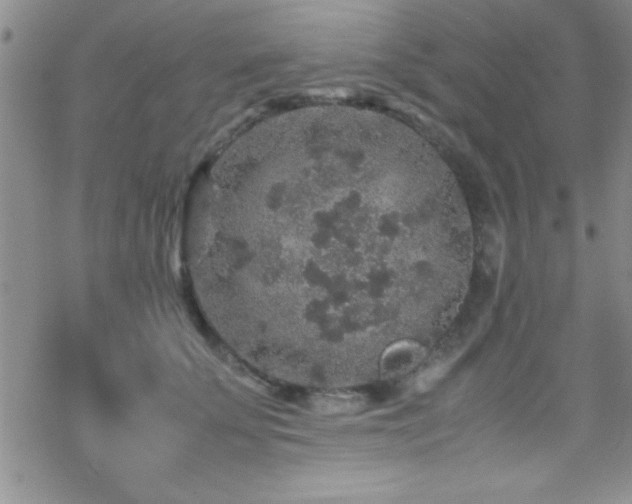 X0000070410707200606091151