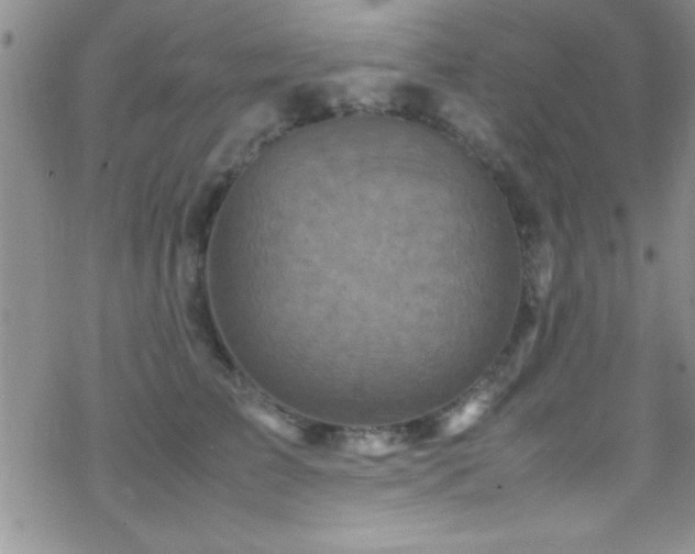 X0000070410709200606091151