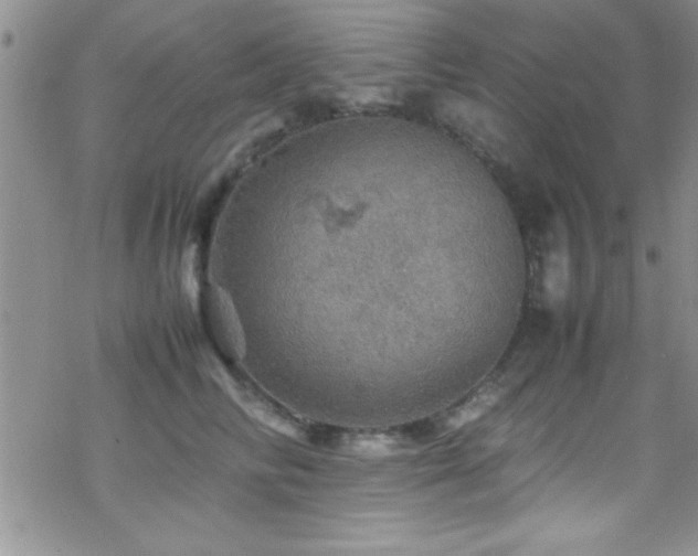 X0000070410710200606091151