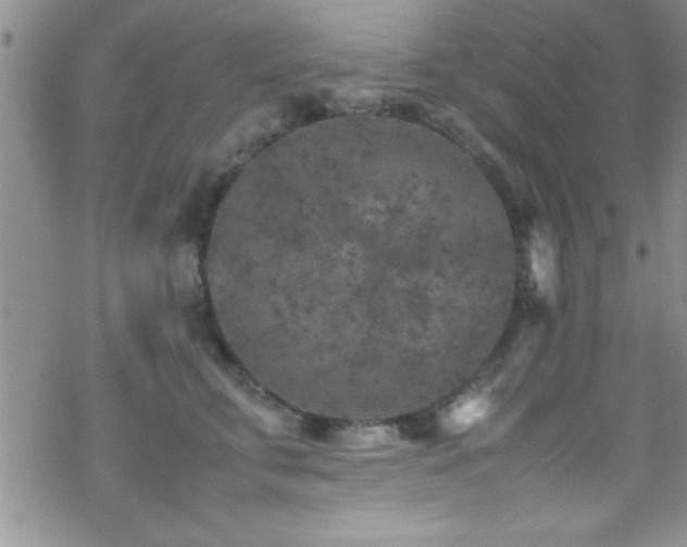 X0000070410711200606091151