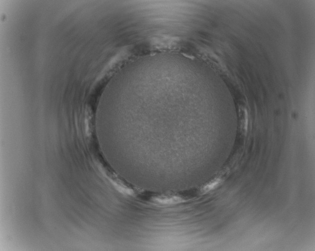 X0000070410712200606091151