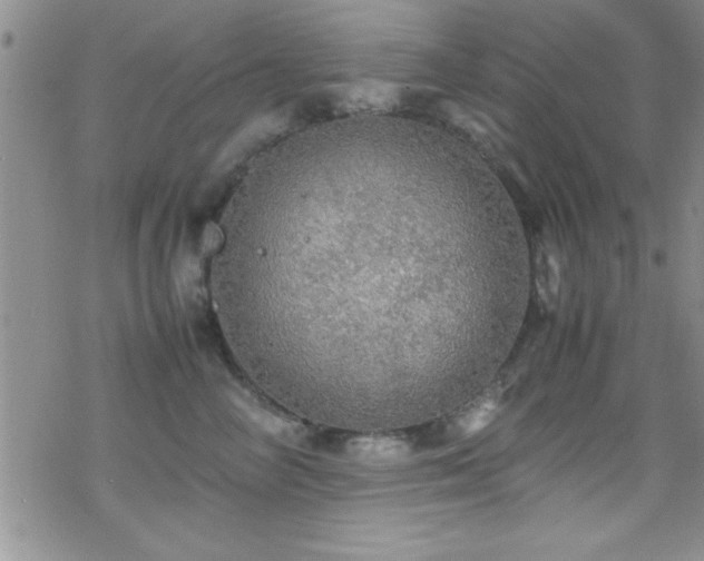 X0000070410714200606091151