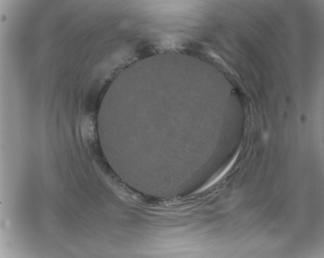 X0000070410715200606091151