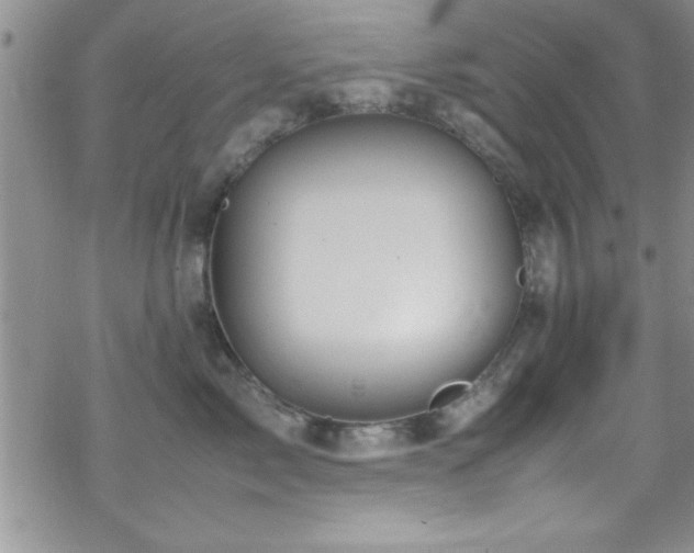 X0000070410717200606091151