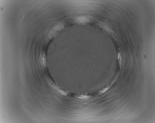 X0000070410718200606091151