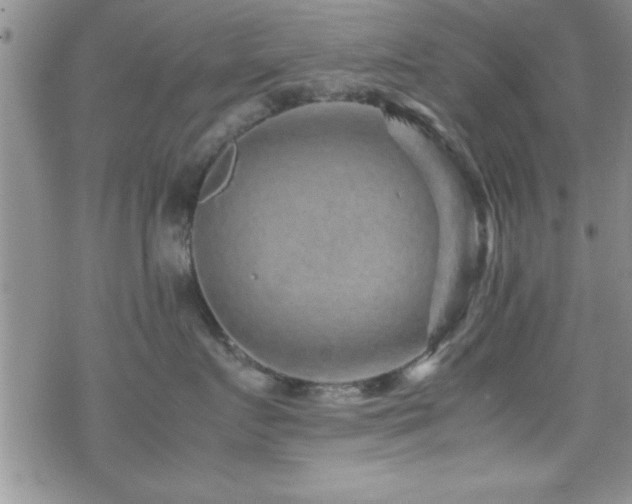 X0000070410719200606091151