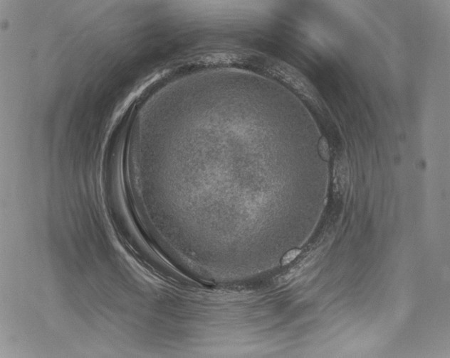 X0000070410722200606091150