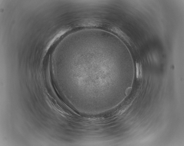 X0000070410723200606091150