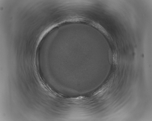 X0000070410724200606091150