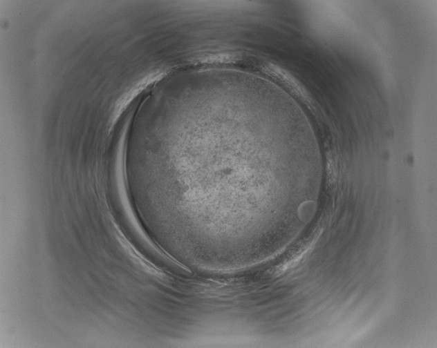 X0000070410725200606091150