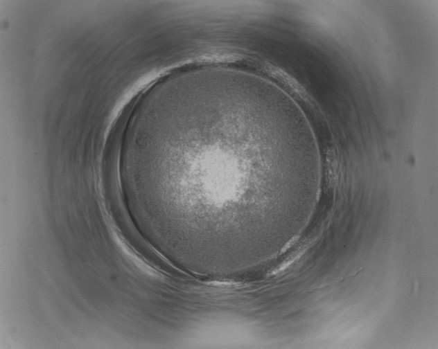 X0000070410726200606091150