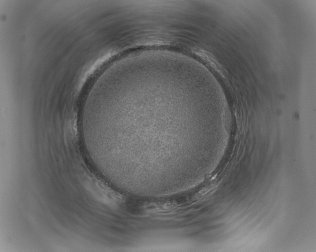 X0000070410727200606091150