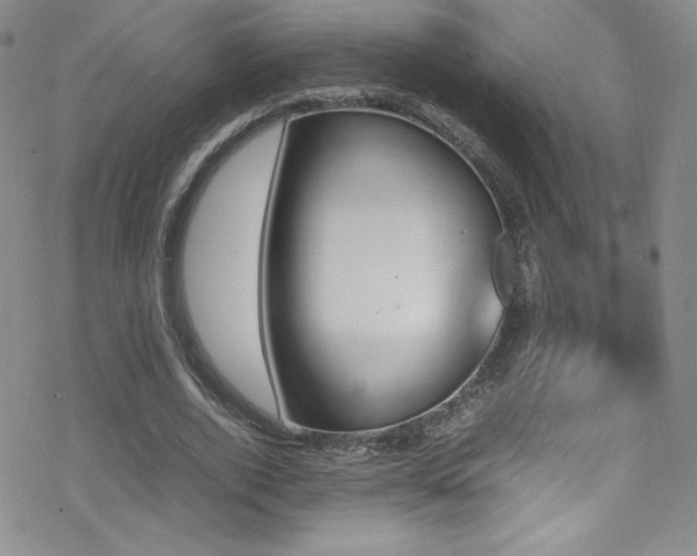 X0000070410728200606091150