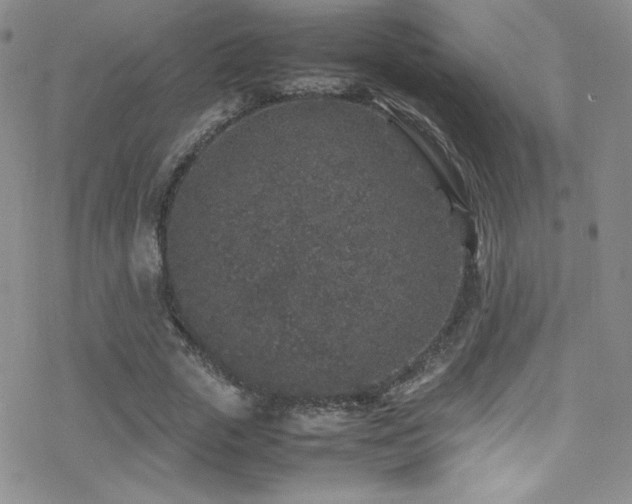 X0000070410729200606091150