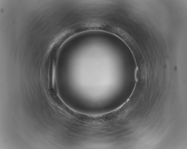 X0000070410731200606091150