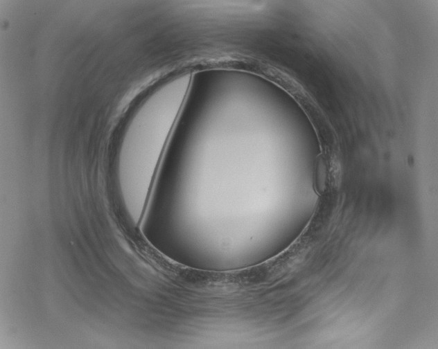 X0000070410732200606091150