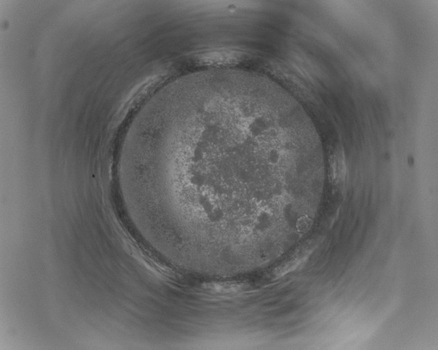 X0000070410733200606091150