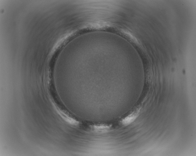 X0000070410736200606091151